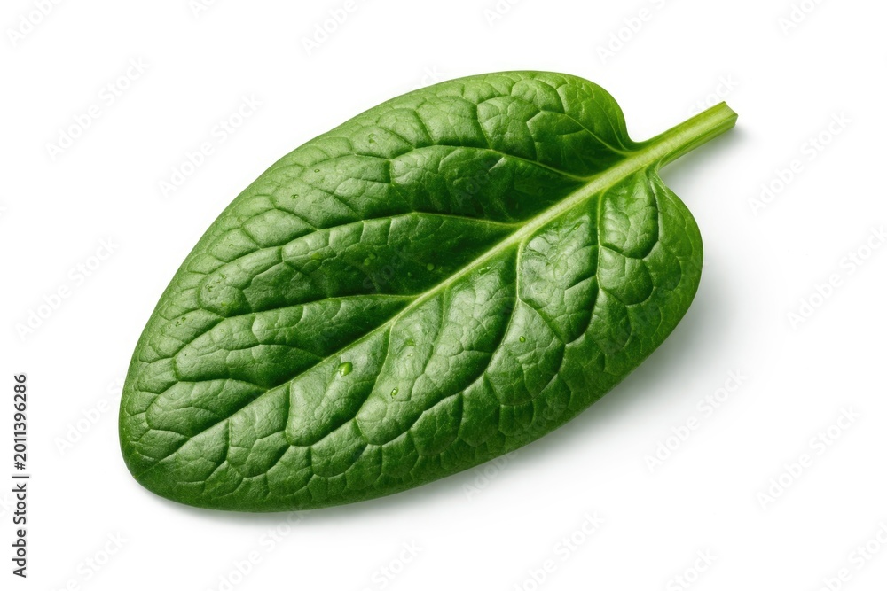 Naklejka premium Spinach leaf texture close up isolated on pristine white background