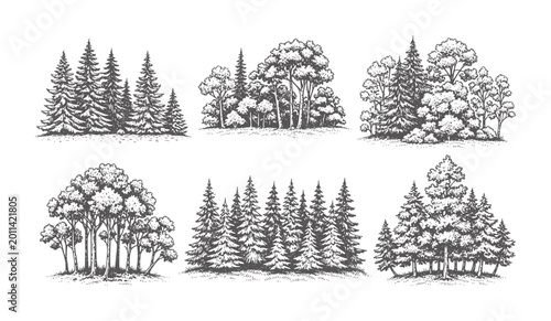 Εκτύπωση καμβά Six distinct forest scenes with varied tree types in a vintage style trees pine
