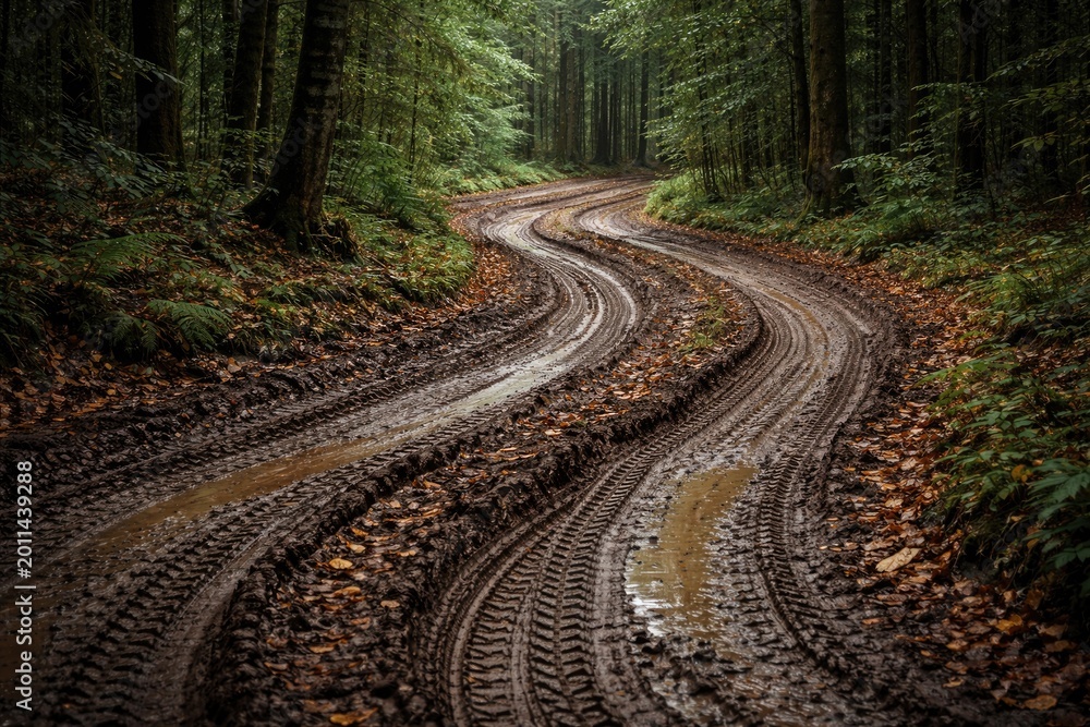 Fototapeta premium Serpentine muddy track crossing dense woods with distinct tire patterns on soft earth and vibrant leaf cover