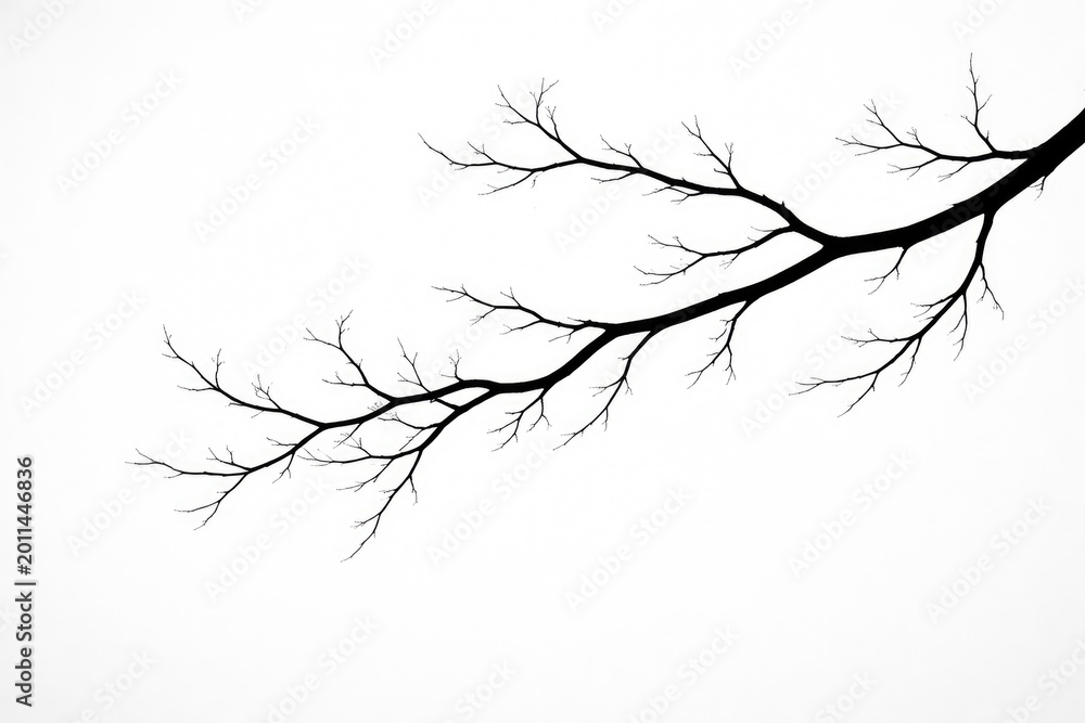 Obraz premium Stylized black branch silhouette against pure white background with copy space