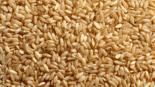 Close-up top view of uncooked brown rice grains filling frame edge to edge, highly detailed texture, studio lighting minimal scene for branding