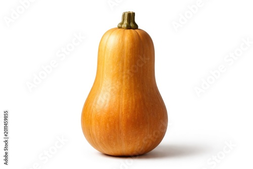 Single ripe squash showcased on unblemished white backdrop