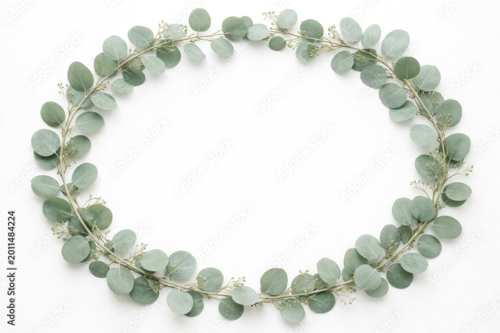 Obraz premium Eucalyptus leaf oval frame in minimalist design against a bright white backdrop