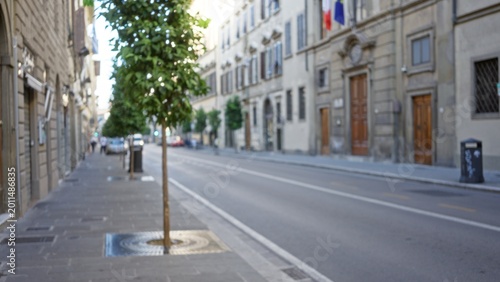 Defocused urban street scene in shallow bokeh with soft tree lined sidewalk and distant building facades, street; copyspace calm.