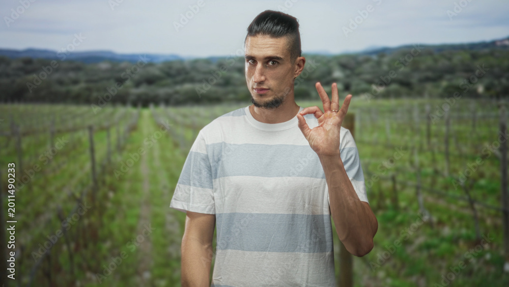 Fototapeta premium Man in striped t shirt makes ok sign with right hand showing bare hand and ring among vineyard rows in forest setting with distant hills; approval calm.