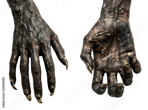 Ancient egyptian mummy hands detailed archaeological find