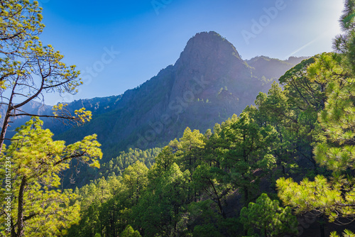 Obraz na plátne Cityscape of Caldera de Taburiente (Canary Islands, Spain)