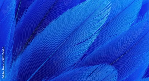 A stunning macro view of overlapping vibrant blue feathers creates a complex and soft texture with electric azure and deep navy shades, plume, plumage, feather