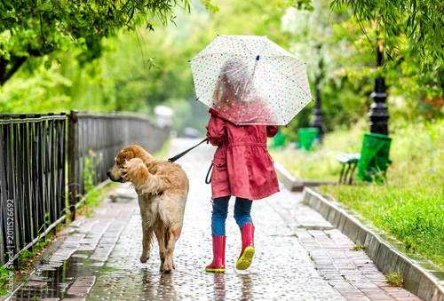 Back View Of Girl Walking A Golden Retriever With Umbrella On A Rainy Path