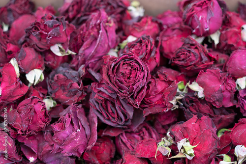 Canvas Print Dried red roses representing memory, loss, and fragility