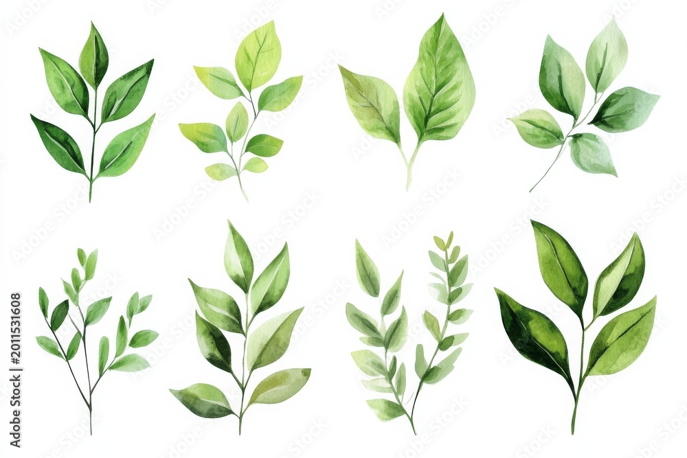 Fototapeta premium Different types of green leaves arranged in a grid showing various shapes and sizes