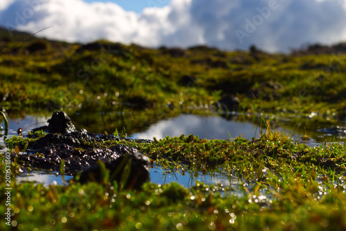 Fotografie Moorland Puddles