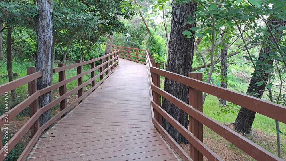 Obraz premium Wooden boardwalk trail winding through a lush green pine forest in a park