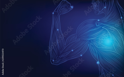 Futuristic glowing human muscle anatomy showing a flexed arm and upper torso, detailed muscle fibers in neon blue lines on dark background, concept of strength, fitness and medical science.