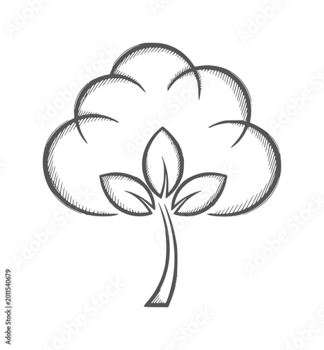 Foto Hand drawn of a fluffy cotton boll with leaves plant doodle organic