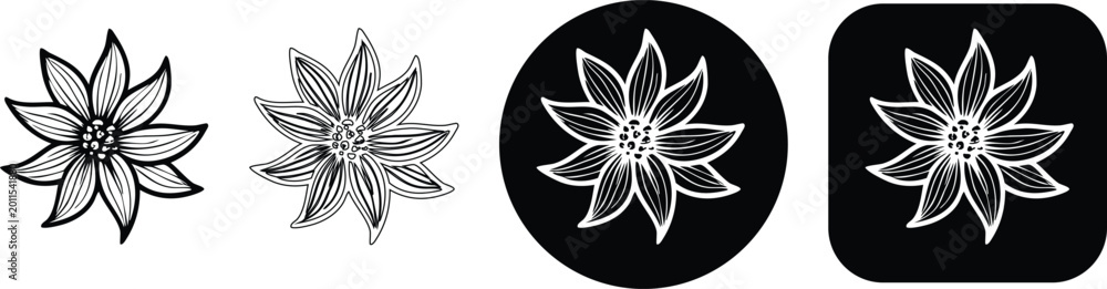 Fototapeta premium Detailed multi-petal flower set with outline filled and circular black background variations