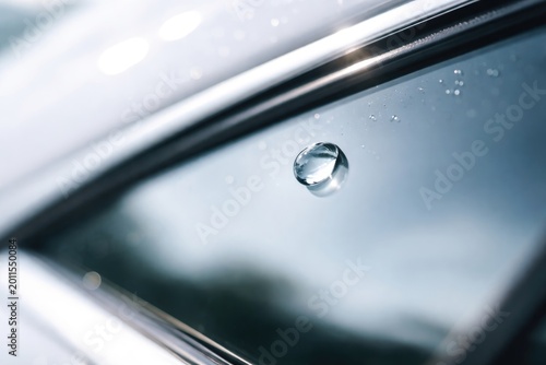 Close-up photograph of a si...