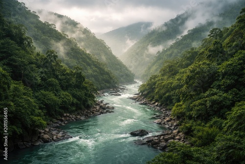 Majestic monsoon river cutt...
