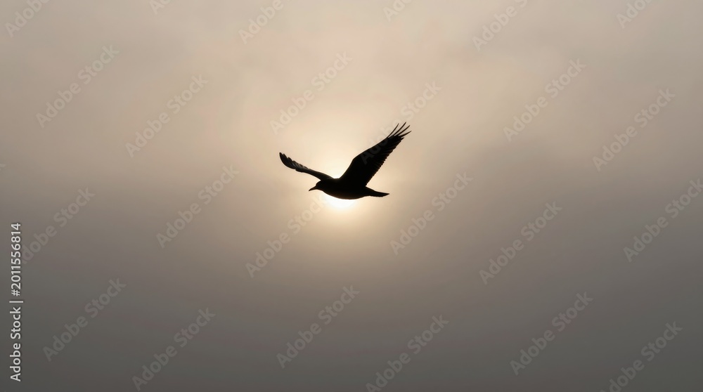 Obraz premium A stunning silhouette of a bird in flight against a soft sunset. The tranquil sky and golden light create a peaceful atmosphere, perfect for nature lovers.