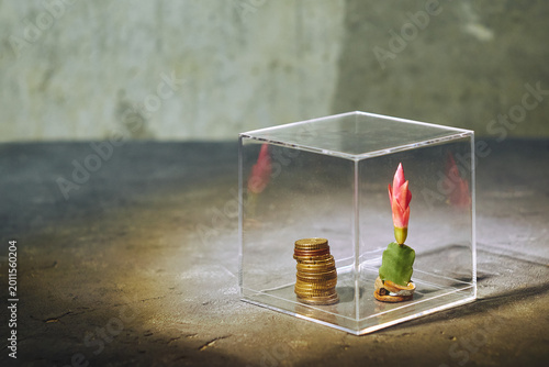 Locked Money and Plant Concept: Financial Assets in a Glass Cube with copy space