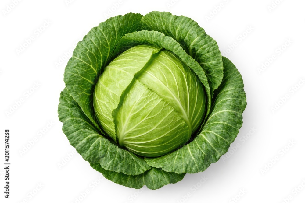 Fototapeta premium Overhead shot of young green cabbage isolated with clipping path on plain white