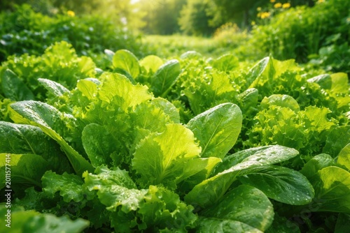 Fresh green leaves growing ...