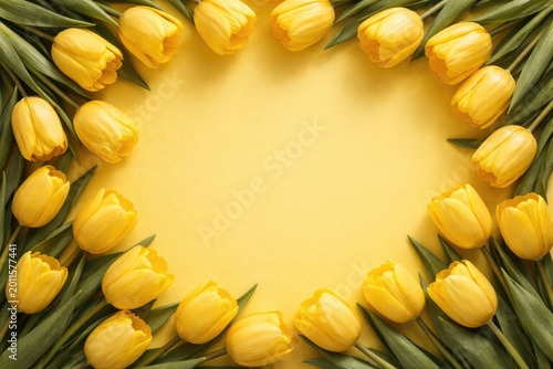 Yellow tulip flowers neatly...