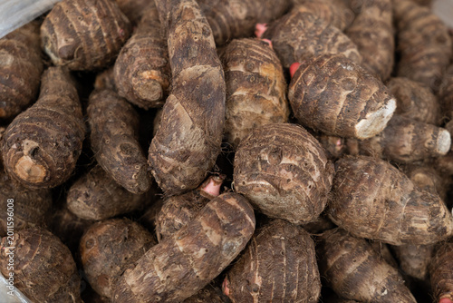 Quadro su tela Raw taro roots showing organic starchy tubers