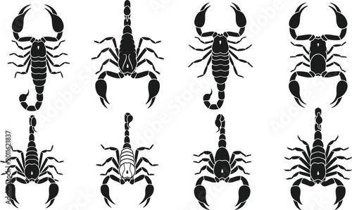 Fotografía Scorpion Icon Set with Insects, Arachnids, Poison, and Wildlife Illustrations fo