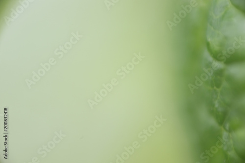 Fotografía farbe verlauf grün