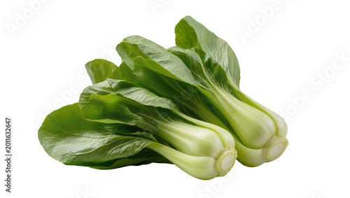 Photos Green crisp Bok Choy vegetable bunch with white stems