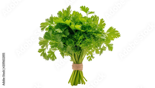 Fresh Green Parsley Bunch Tied with Rustic Twine
