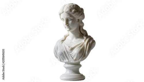 Bilde på lerret Classical white marble bust of a woman with flowing hair, isolated on transparen