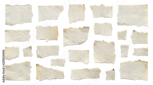 Large collection of torn paper fragments with rough edges isolated on transparent background for design
