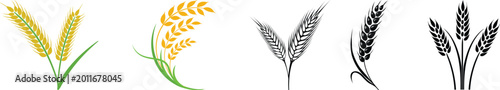 Photos wheat vector icon set