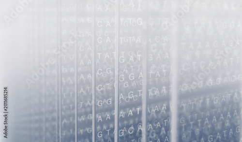 Photography Abstract DNA genetic code sequence on misty defocused background