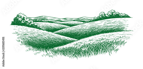Fotografie Green rolling hills and trees sketched in a vintage style grass