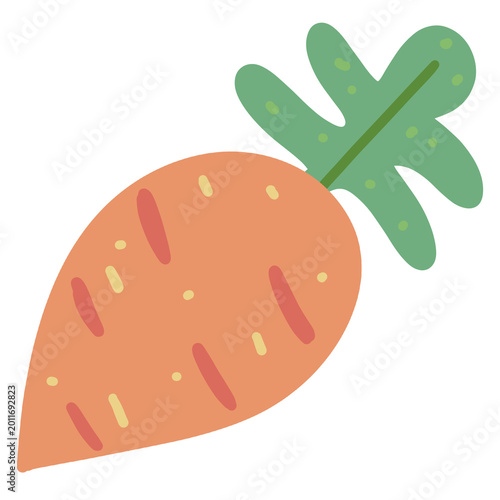 Carrot vegetable illustration