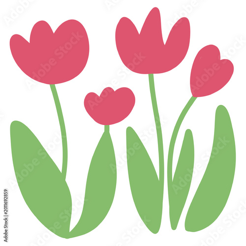 Tulip flowers illustration