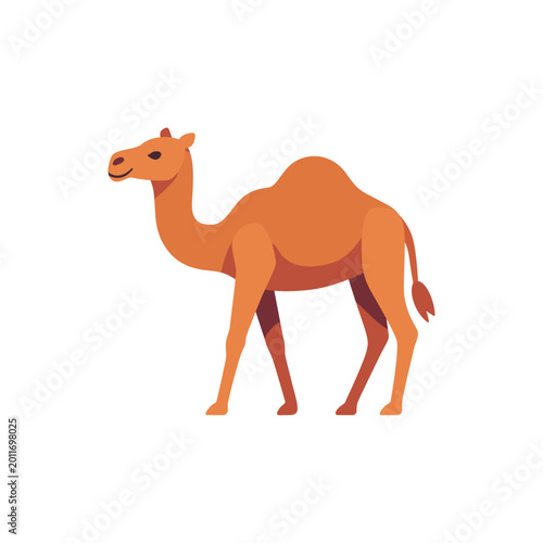 Vászonkép Brown camel with hump for desert travel, colorful illustration