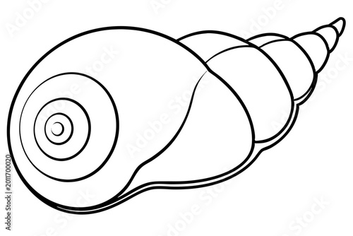 Minimal Seashell Spiral Outline SVG | Nautical Shell Line Art Vector