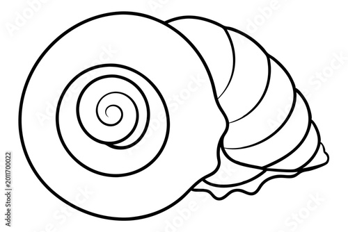 Minimal Seashell Spiral Outline SVG | Nautical Shell Line Art Vector