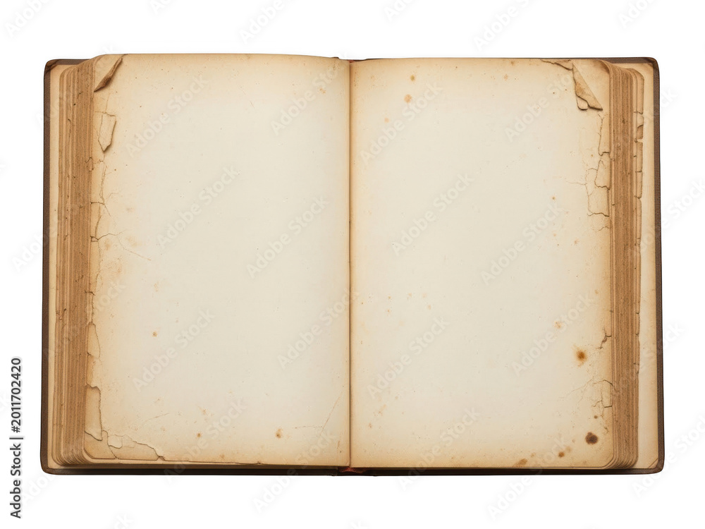 Fototapeta premium Old book pages with empty space