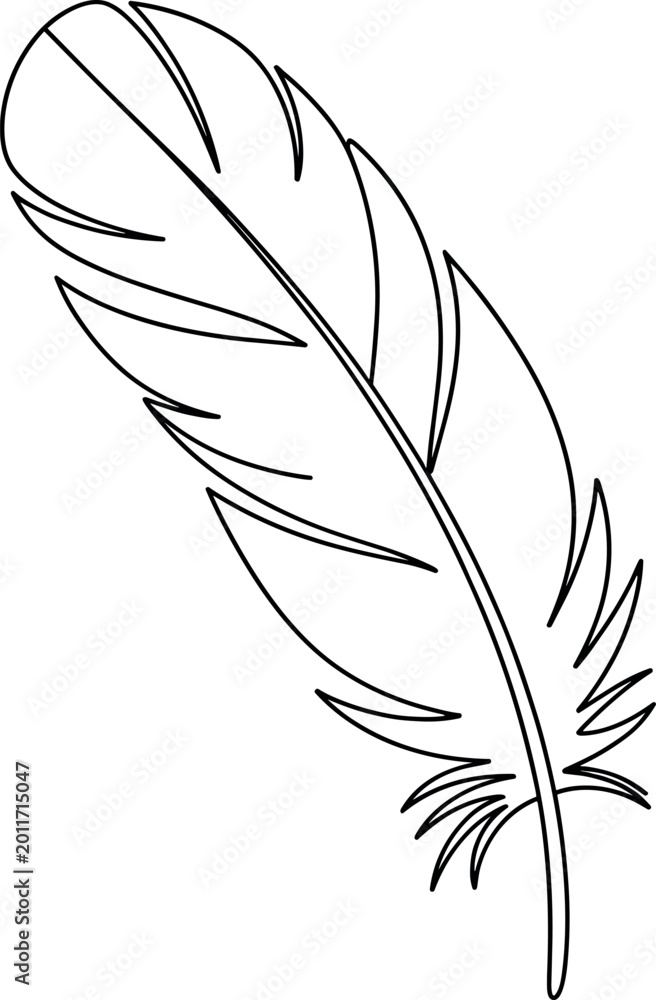Fototapeta premium Simple black and white feather illustration