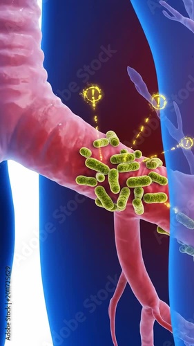 Professional medical illustration uses vibrant colors to show complex biological processes inside human respiratory system visualization helps students understand anatomy better.