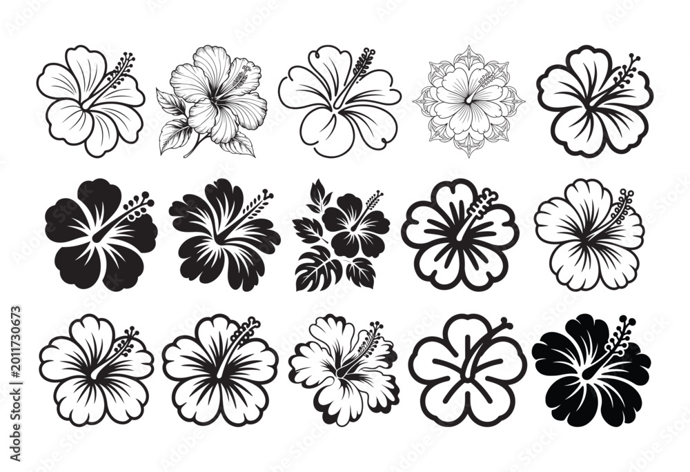 Fototapeta premium Hibiscus Flower Vector Set, Tropical Floral Line Art and Silhouette Collection, Botanical Flower Illustration Bundle