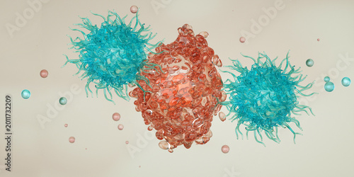 Cytotoxic T cells (blue) attack a cancer cell (red). Killer T-cell or B-cell concept. CAR T-Cell Therapy. White blood cells. Natural killer cell. Photo stock