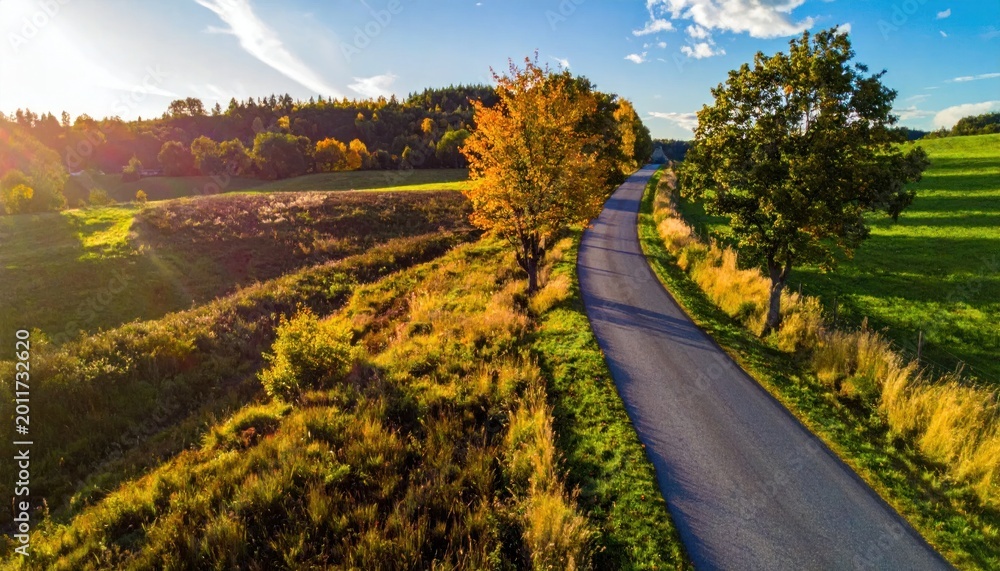 Naklejka premium Scenic Autumn Road Through Golden Fields and Trees.