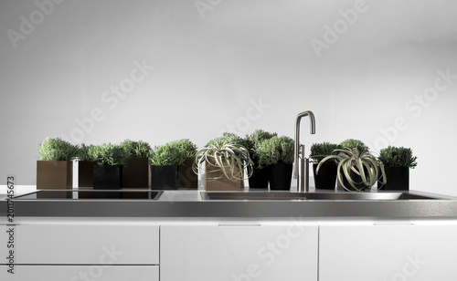 Slika na platnu Close up of a kitchen cabinet with sink and plants