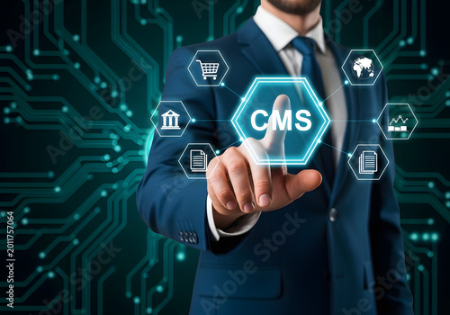 Businessman hand touching cms button on virtual interface screen for web site management.
